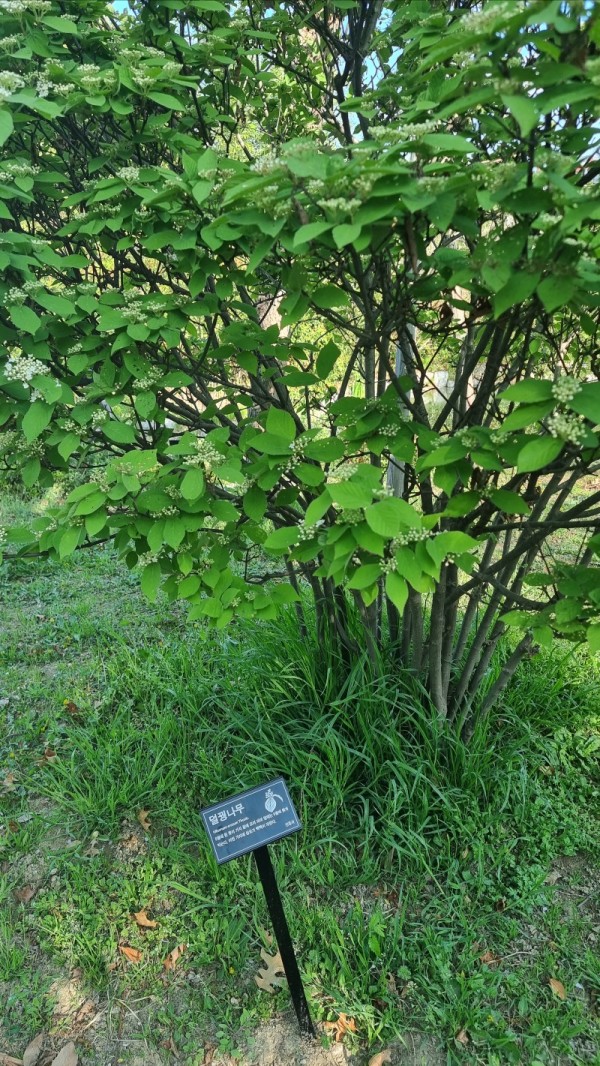 20230403_083008.jpg